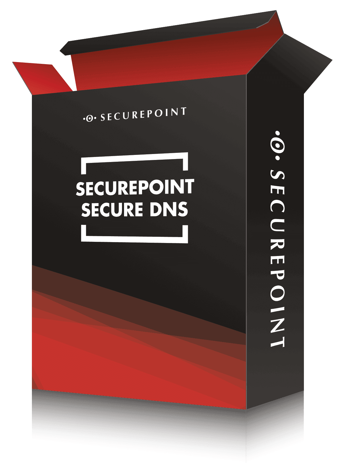 Secure DNS